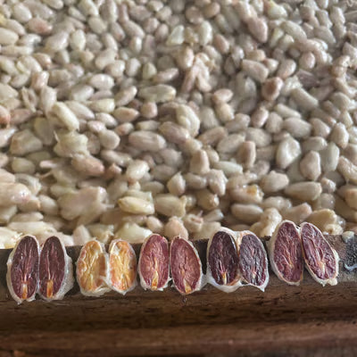 Piura Blanco Peru Single Origin Chocolate