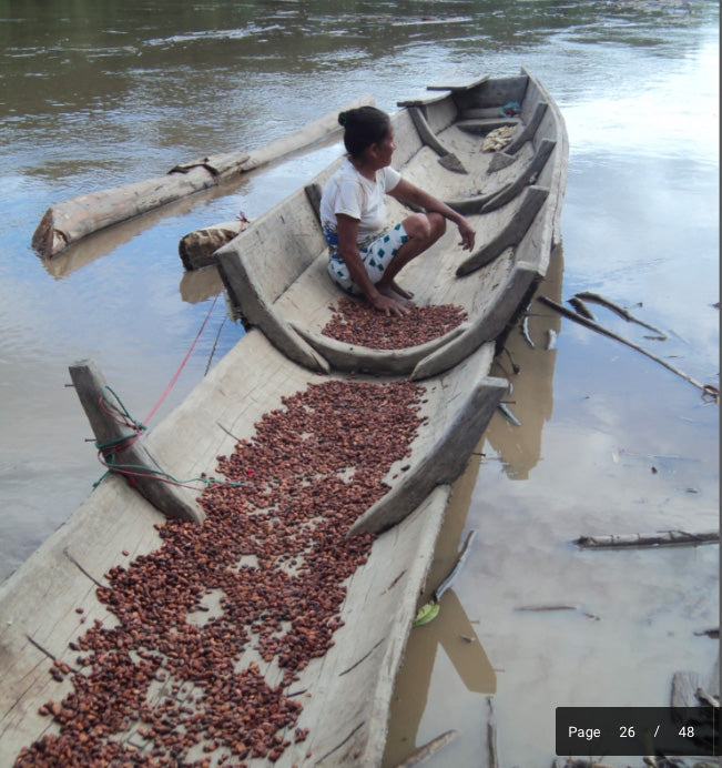 Bolivia Tranquilidad Wild Harvest Single Origin Chocolate