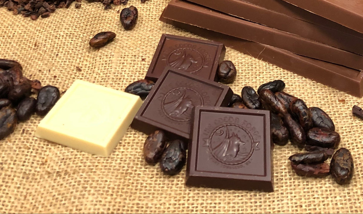 Tasting Kit